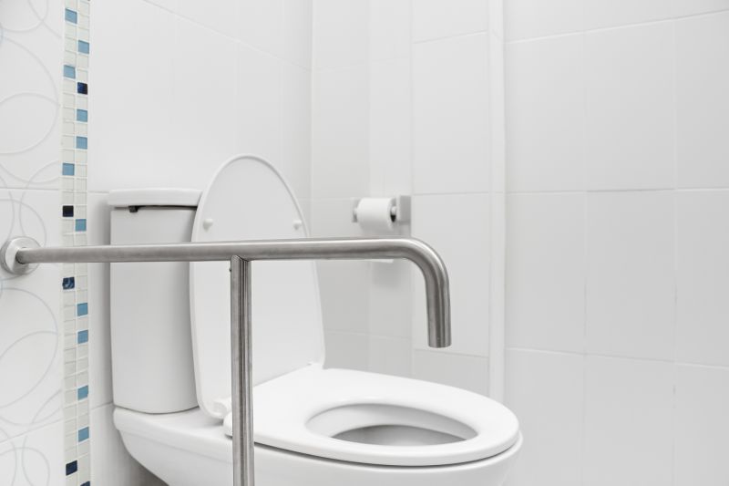 Toilet Handrail Installation