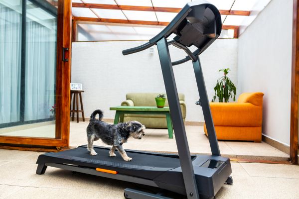 Treadmill Installation in Bella Vista