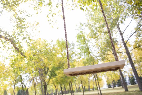 Tree Swing Installation in Bella Vista