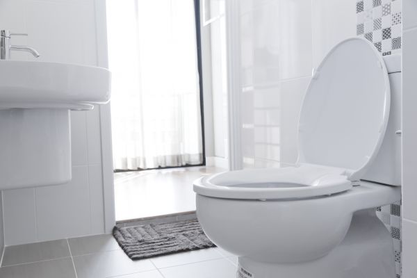 Toilet Seat Installation in Bella Vista