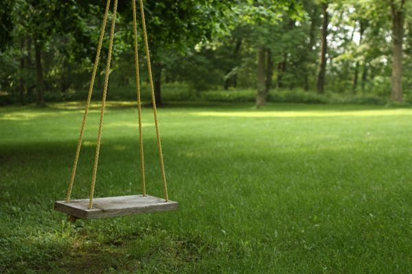 Rope Swing Installation in Bella Vista