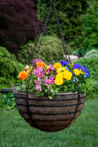 Hanging Basket Installation in Bella Vista