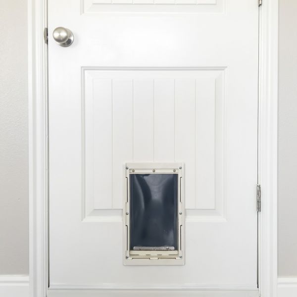 Pet Door Repair in Bella Vista