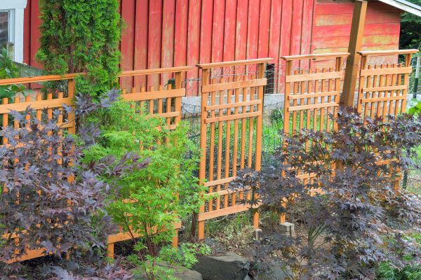 Wood Trellis Mounting in Bella Vista