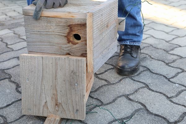 Birdhouse Mounting in Bella Vista