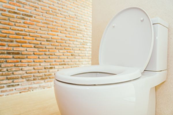 Toilet Seat Repair in Bella Vista
